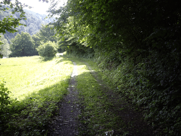 Grajska pešpot, KP Kolpa