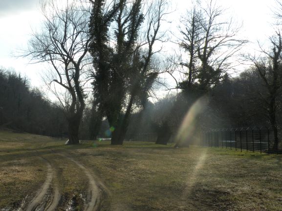 Sejemska pot, Vinica-Žuniči, KP Kolpa